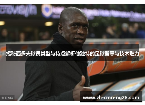 揭秘西多夫球员类型与特点解析他独特的足球智慧与技术魅力